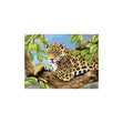 Royal Langnickel Junior Paint By Number, Leopard N Tree- 15.25x11.25"