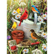 Royal Langnickel Junior Paint By Number Small, Garden Birds- 8.75x11.75"
