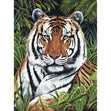 Royal Langnickel Junior Paint By Number Small, Tiger in Hiding- 8.75x11.75"