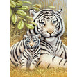Royal Langnickel Junior Paint  By Number Small, White Tiger Pair- 8.75x11.75"