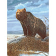 Royal Langnickel Junior Paint By Number Small, Grizzly Bear- 8.75x11.75"