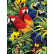Royal Langnickel Junior Paint  By Number Small, Majestic Macaws- 8.75x11.75"