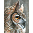 Royal Langnickel Color Pencil By Number, Sepia Owl- 8.75x11.75"