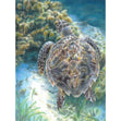 Royal Langnickel Color Pencil By Number, Sea Turtle- 8.75x11.75"