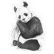 Royal Langnickel Sketching Made Easy, Panda- 5x7"