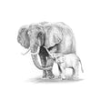 Royal Langnickel Sketching Made Easy, Elephant & Baby- 5x7"