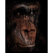 Royal Langnickel Copper Foil Engraving Art, The Wise Simian- 8x10"