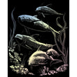 Royal Langnickel Holographic Foil Engraving Art, Dolphin Pod- 8x10"