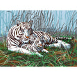 Royal Langnickel Junior Paint By Number, White Tigers- 15.25x11.25"
