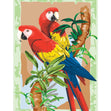 Royal Langnickel Junior Paint By Number Small, Bamboo and Parrots- 8.75x11.75"