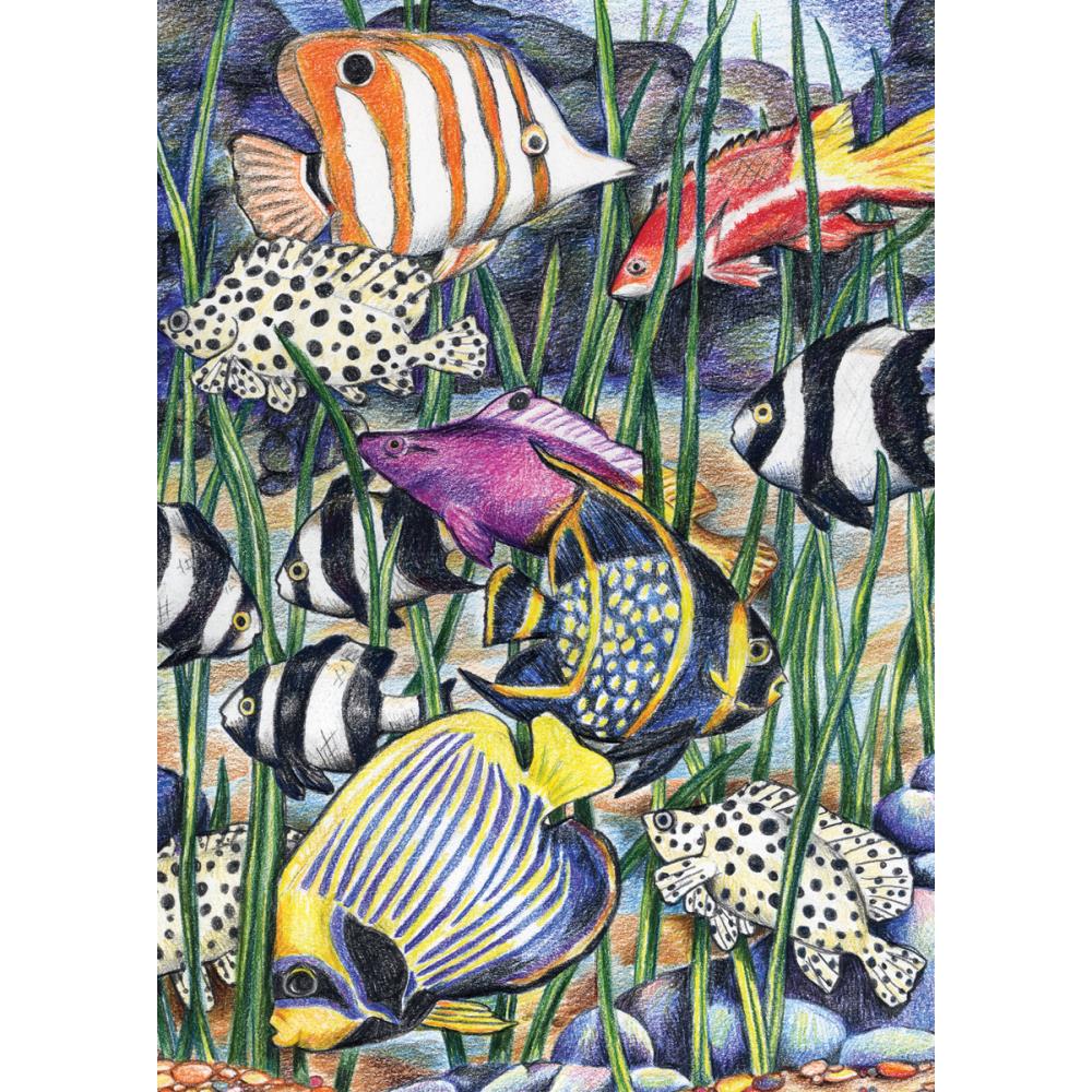 Royal Langnickel Mini Pencil By Number, Tropical Fish- 5x7"