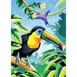 Royal Langnickel Mini Pencil By Number, Tropical Birds- 5x7"