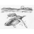 Royal Langnickel Sketching Made Easy, Whales- 5x7"