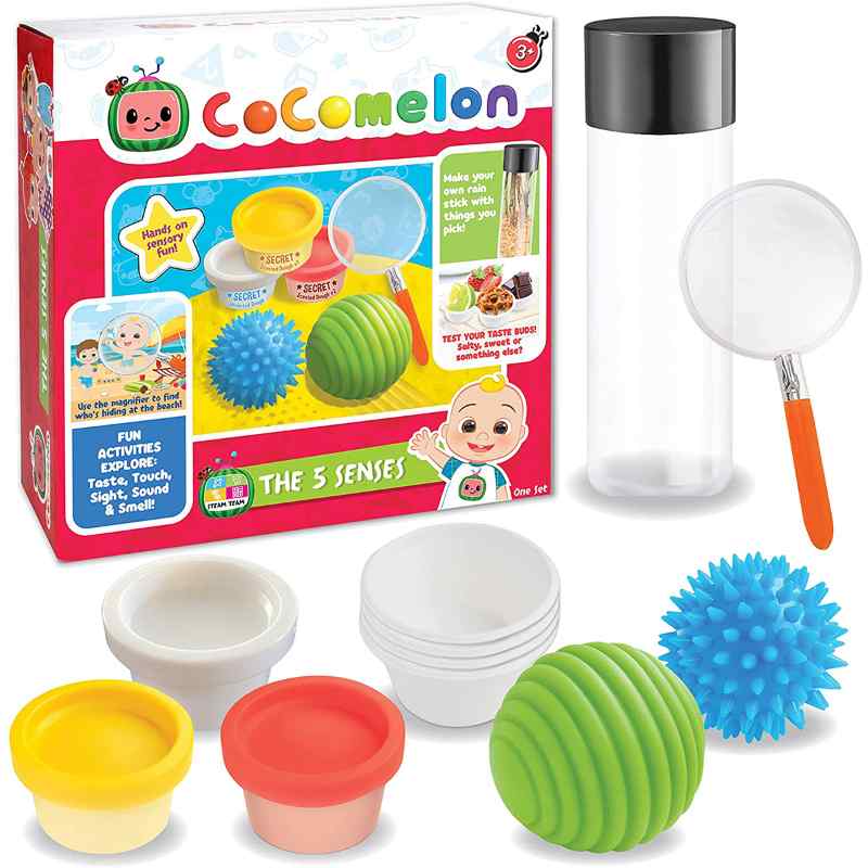 Cocomelon 5 Senses