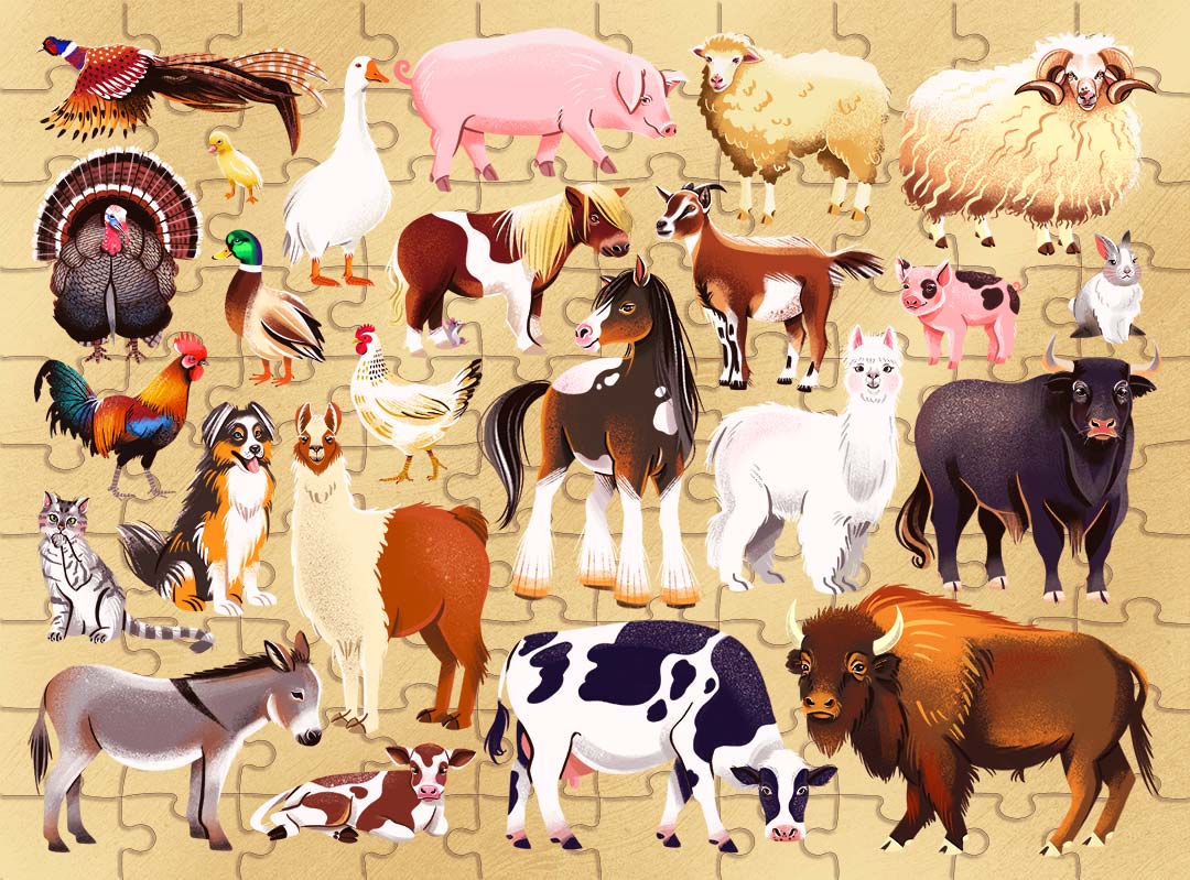 Junior Jigsaw Puzzle, Explore 24: Farm Animals