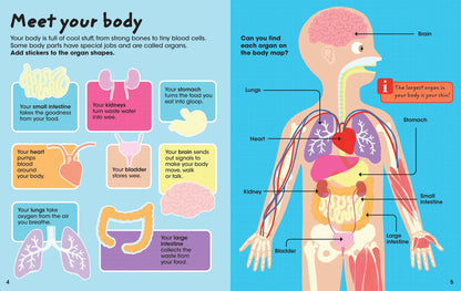 Factivity Bubble Sticker Activity Vol. 2, Human Body