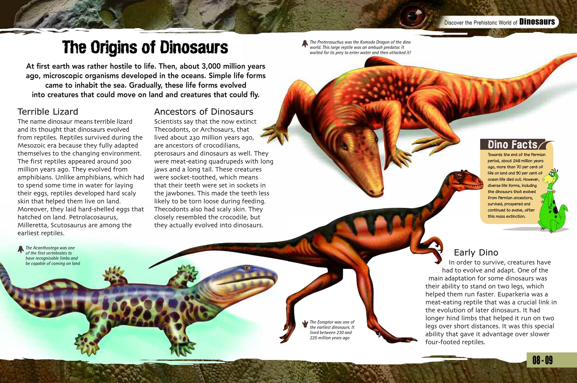 Wonders Of Learning Omnibus Book, Dinosaurs- 48pages