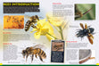Wonders Of Learning Book,  Animal Encyclopedia