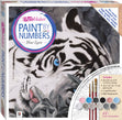 Paint By Numbers Canvas, Blue Eyes