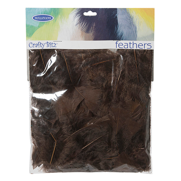 Turkey Feathers, Brown- 10g