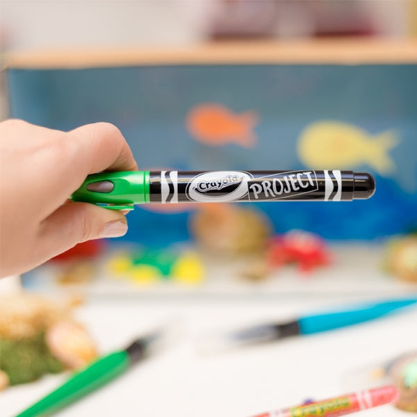 Crayola Project Metallic Outline Markers- 4pk