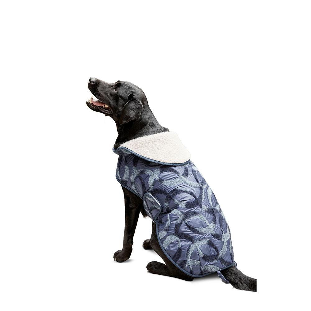 Burda X06049 Undefined Pet