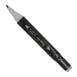 Thiscolor Double Tip Marker, Green Grey 3