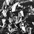 Printed Flannelette Fabric, Black White Horses- 108cm Width